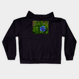 Blue cornflower herb flower head Kids Hoodie